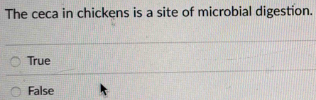 The ceca in chickens is a site of microbial digestion.
True
False