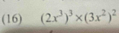 (16) (2x^3)^3* (3x^2)^2