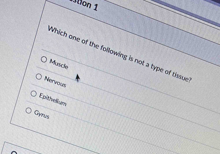 tion 1
Which one of the following is not a type of tissue
Muscle
Nervous
Epithelium
Gyrus