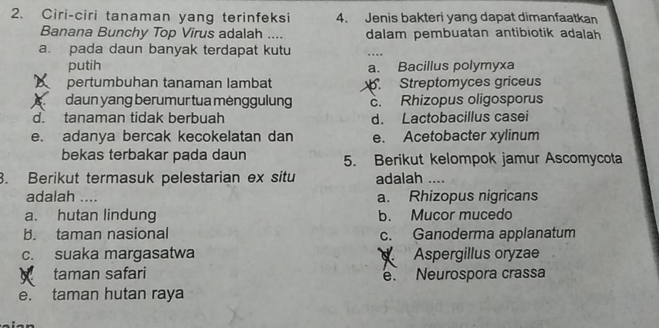 Ciri-ciri tanaman yang terinfeksi 4. Jenis bakteri yang dapat dimanfaatkan
Banana Bunchy Top Virus adalah .... dalam pembuatan antibiotik adalah
a. pada daun banyak terdapat kutu
putih a. Bacillus polymyxa
pertumbuhan tanaman lambat. Streptomyces griceus
daun yang berumur tua ménggulung c. Rhizopus oligosporus
d. tanaman tidak berbuah d. Lactobacillus casei
e. adanya bercak kecokelatan dan e. Acetobacter xylinum
bekas terbakar pada daun
5. Berikut kelompok jamur Ascomycota
. Berikut termasuk pelestarian ex situ adalah ....
adalah .... a. Rhizopus nigricans
a. hutan lindung b. Mucor mucedo
b. taman nasional c. Ganoderma applanatum
c. suaka margasatwa Aspergillus oryzae
taman safari
e. Neurospora crassa
e. taman hutan raya