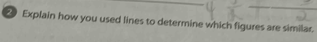 Explain how you used lines to determine which figures are similar.