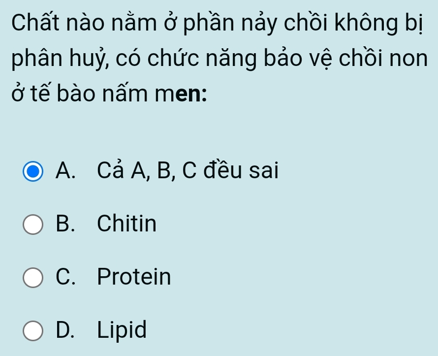 Chất nào nằm ở phần nảy chồi không bị
phân huỷ, có chức năng bảo vệ chồi non
ở tế bào nấm men:
A. Cả A, B, C đều sai
B. Chitin
C. Protein
D. Lipid