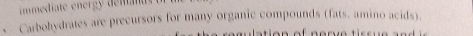 immediate energy deman 
Carbohydrates are precursors for many organic compounds (fats, amino acids)