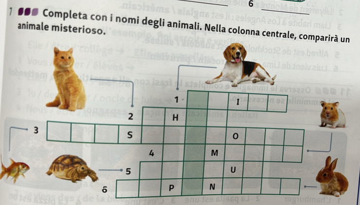 6 
_ 
1 ●●● Completa con i nomi degli animali. Nella colonna centrale, c 
animale misterioso.