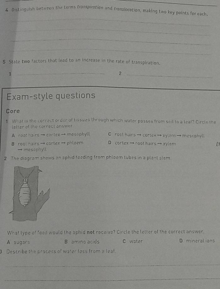 Distinguish between the terms tronspiration and tronslocotion, making two key points for each.
_
_
_
_
5 State two factors that lead to an increase in the rate of transpiration.
1
_
_2
Exam-style questions
Core
1 What is the corract order of tissues through which water passes from soil to a leaf? Circle the
letter of the correct answer
A root hairs → cortex → mesophyll C roolhairs → cortex → xylem → mesophyll
B root hairs → cortex → phloem D cortex → root hairs → xylem [1
→ mesophyll
2 The diagram shows an aphid teeding from phloem tubes in a plant slem
What type of food would the aphid not receive? Circle the letter of the correct answer.
A sugars B amino acids C water D mineral ions
3 Describe the process of water loss from a leat.
_
_