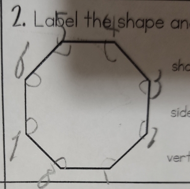 Label the shape an 
shc 
side 
vert