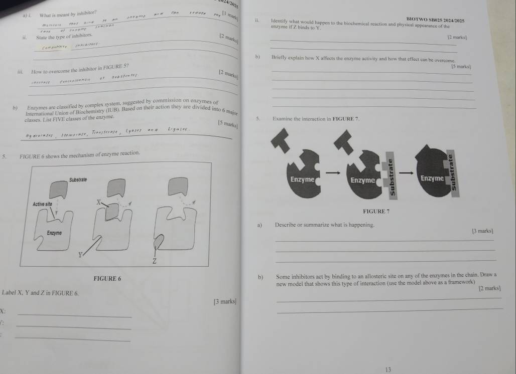 What is meant by inhibitor? 
BIOTWO SB025 2024/2025 
t an sheymp Car= goduts [ 1 mark ii. Identify what would happen to the biochemical reaction and physical appearance of the 
* ? 
_ 
enzyme if Z binds to Y [2 marks] 
ii. State the type of inhibitors. 
_[2 marks] 
_ 
_ 
_ 
b) Briefly explain how X affects the enzyme activity and how that effect can be overcome. [5 marks] 
iii. How to overcome the inhibitor in FIGURE 5? 
_ 
_[2 marks] 
_ 
_ 
_ 
b) Enzymes are classified by complex system, suggested by commission on enzymes of_ 
_ 
International Union of Biochemistry (IUB). Based on their action they are divided into 6 maja 
classes. List FIVE classes of the enzyme. 5. Examine the interaction in FIGURE 7. 
[5 marks]
y drciases, 1someiase, Tiensterase, Lyoses ana Ligases. 
5. FIGURE 6 shows the mechanism of enzyme reaction. 
FIGURE 7 
a) Describe or summarize what is happening. 
[3 marks] 
_ 
_ 
_ 
FIGURE 6 b) Some inhibitors act by binding to an allosteric site on any of the enzymes in the chain. Draw a 
new model that shows this type of interaction (use the model above as a framework) 
_ 
Label X, Y and Z in FIGURE 6. [2 marks] 
[3 marks] 
X: 
_ 
_ 
C 
_ 
_ 
13