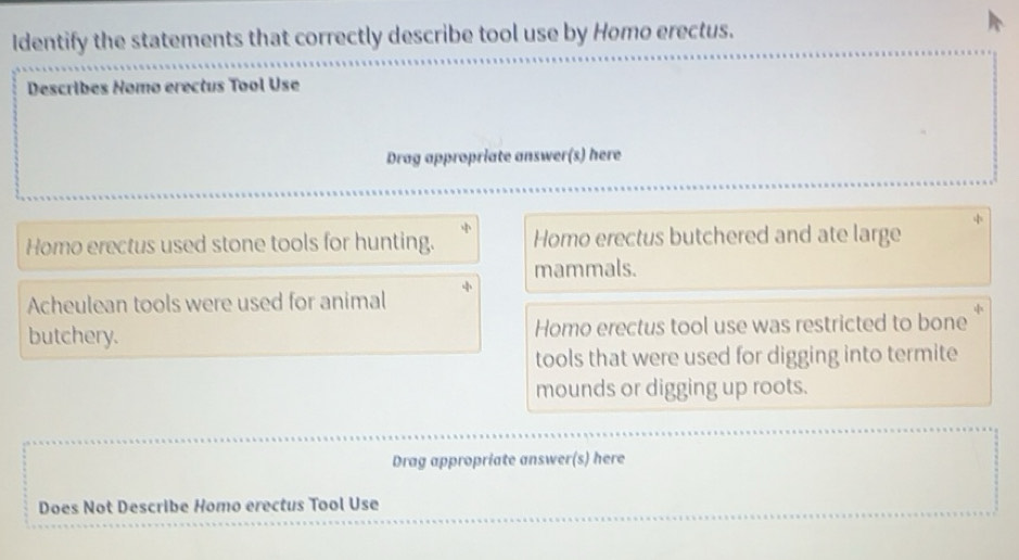 Solved: Identify the statements that correctly describe tool use by ...