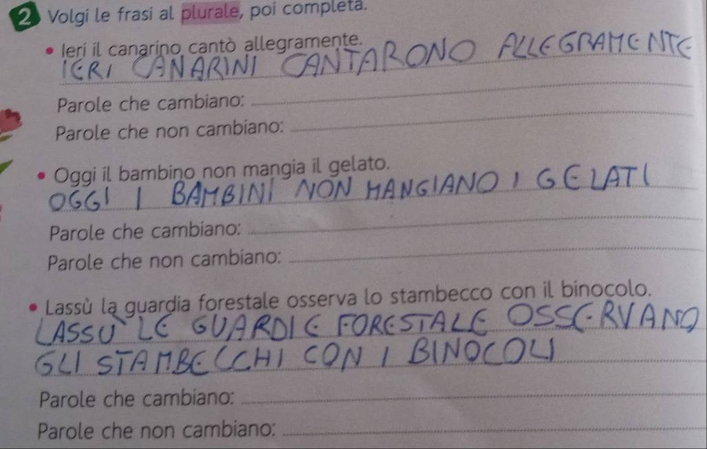 Volgi le frasi al plurale, poi completa. 
_ 
Ierí il canarino cantò allegramente. 
_ 
_ 
Parole che cambiano: 
Parole che non cambiano: 
_ 
Oggi il bambino non mangia il gelato. 
_ 
_ 
Parole che cambiano: 
Parole che non cambiano: 
Lassù la guardia forestale osserva lo stambecco con il bínocolo. 
_ 
_ 
_ 
Parole che cambiano: 
_ 
Parole che non cambiano:_