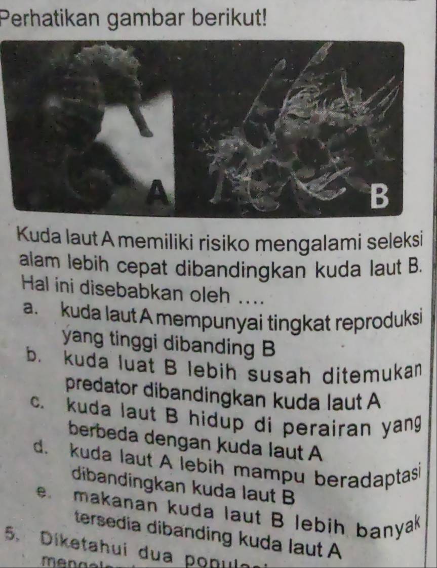 Perhatikan gambar berikut!
Kuda laut Amemiliki risiko mengalami seleksi
alam lebih cepat dibandingkan kuda laut B.
Hal ini disebabkan oleh ....
a. kuda laut A mempunyai tingkat reproduksi
yang tinggi dibanding B
b. kuda luat B lebih susah ditemukan
predator dibandingkan kuda laut A
c. kuda laut B hidup di perairan yang
berbeda dengan kuda laut A
d. kuda laut A lebih mampu beradaptasi
dibandingkan kuda laut B
e makanan kuda laut B lebih banyak
tersedia dibanding kuda laut A
5. Diketahui dua po n ula