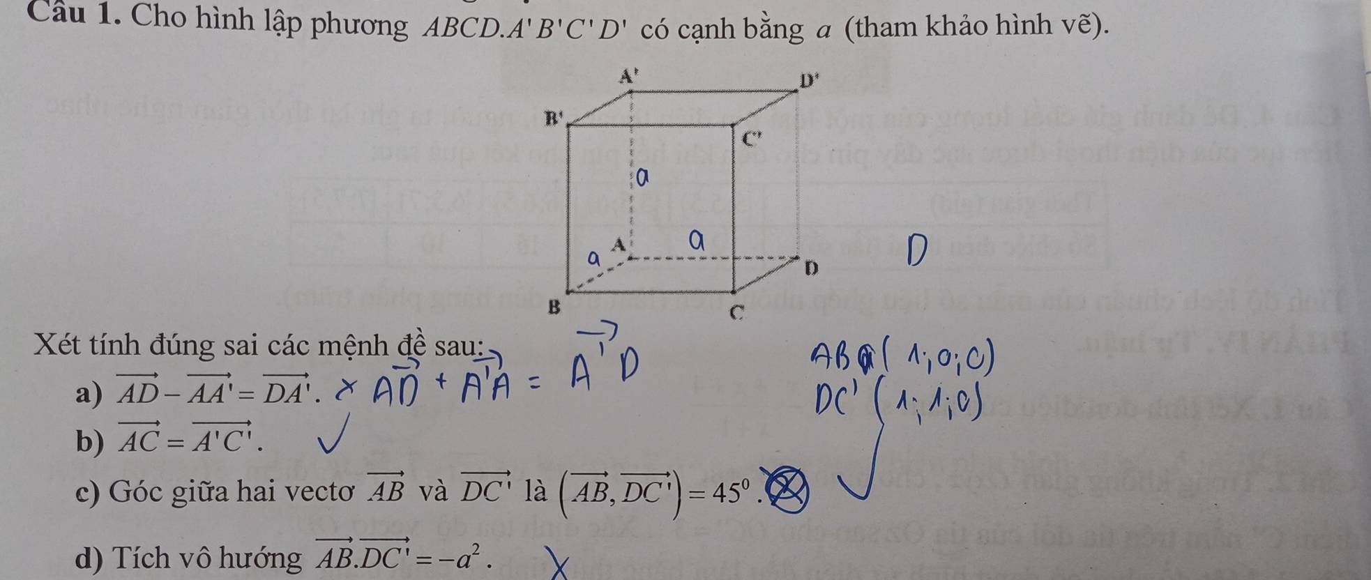 Cho hình lập phương ABCD. A'B'C'D' có cạnh bằng a (tham khảo hình Vwidehat e).
Xét tính đúng sai các mệnh đề sau:
a) vector AD-vector AA'=vector DA'
b) vector AC=vector A'C'.
c) Góc giữa hai vectơ vector AB và vector DC' là (vector AB,vector DC')=45°.
d) Tích vô hướng vector AB.vector DC'=-a^2.