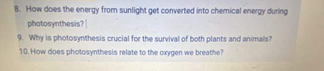 How does the energy from sunlight get converted into chemical energy during 
photosynthesis? 
9. Why is photosynthesis crucial for the survival of both plants and animals? 
10. How does photosynthesis relate to the oxygen we breathe?