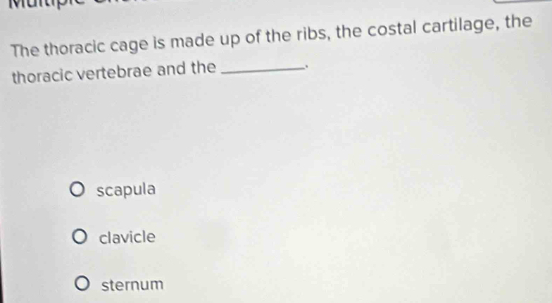 Müt
The thoracic cage is made up of the ribs, the costal cartilage, the
thoracic vertebrae and the_
scapula
clavicle
sternum