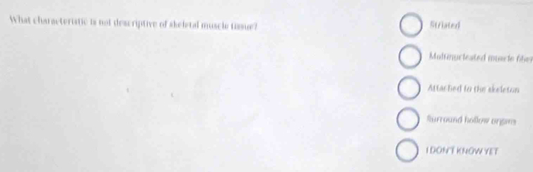 What characteristic is not descriptive of skeletal muscle tissue? Striated 
Multinucieated musrle 659
Attached to the skeleton 
Surround hollow orgns 
I DON T KNOWYET