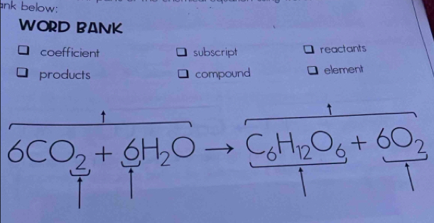 Solved: ank below: WORD BANK coefficient subscript reactants products ...