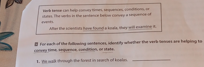 Verb tense can help convey times, sequences, conditions, or 
states. The verbs in the sentence below convey a sequence of 
events. 
After the scientists have found a koala, they will examine it. 
> For each of the following sentences, identify whether the verb tenses are helping to 
convey time, sequence, condition, or state. 
1. We walk through the forest in search of koalas. 
_