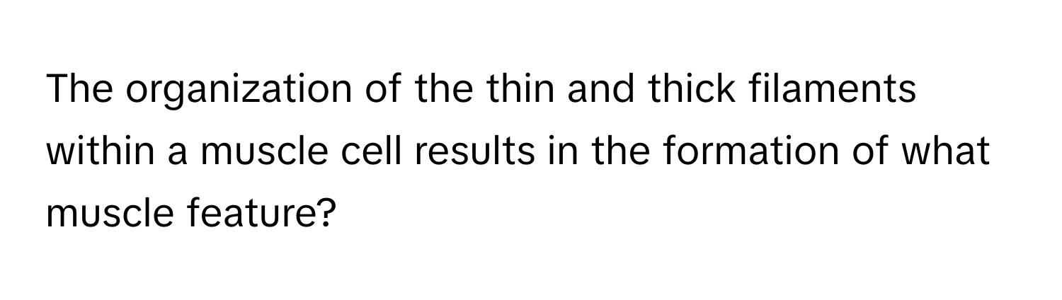 The organization of the thin and thick filaments within a muscle cell results in the formation of what muscle feature?