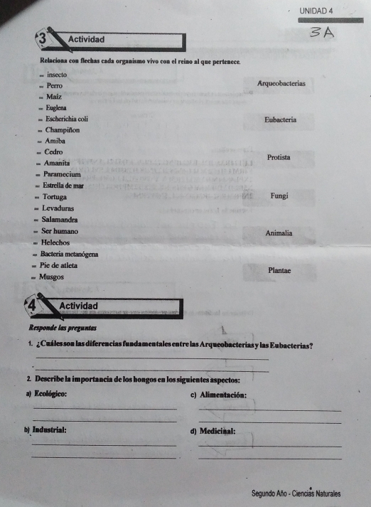 UNIDAD 4 
À 
3 Actividad 
Relaciona con flechas cada organismo vivo con el reino al que pertenece. 
= insecto 
= Perro Arqueobacterias 
= Maíz 
= Euglena 
= Escherichia coli Eubacteria 
== Champiñon 
== Amiba 
=. Cedro 
=== Amanita Protista 
= Paramecium 
Estrella de mar Fungi 
=== Tortuga 
= Levaduras 
= Salamandra 
Ser humano Animalia 
Helechos 
Bacteria metanógena 
Pie de atleta 
Musgos Plantae 
4 Actividad 
Responde las preguntas 
1. ¿ Cuáles son las diferencias fundamentales entre las Arqueobacterias y las Eubacterias? 
_ 
_ 
2. Describe la importancia de los hongos en los siguientes aspectos: 
a) Ecológico: c) Alimentación: 
_ 
_ 
_ 
_ 
b) Industrial: d) Medicinal: 
_ 
_ 
_ 
_ 
Segundo Año - Ciencias Naturales