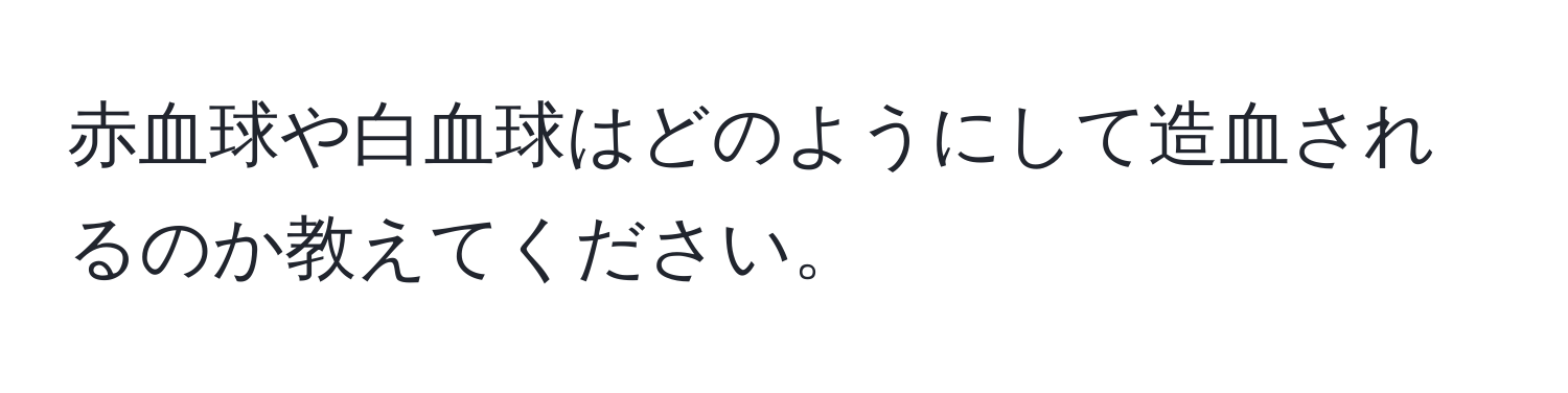 赤血球や白血球はどのようにして造血されるのか教えてください。