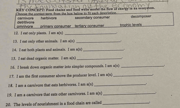 KEY CONCEPT: Food chains and food webs model the flow of energy in an ecosystem.
Choose the correct term from the box below to fit each description.
carnivore herbivore secondary consumer decomposer
detritivore
omnivore primary consumer tertiary consumer trophic levels
12. I eat only plants. I am a(n) _.
13. I eat only other animals. I am a(n) _.
14. I eat both plants and animals. I am a(n)_ .
15. I eat dead organic matter. I am a(n)_
16. I break down organic matter into simpler compounds. I am a(r _.
1 7. I am the first consumer above the producer level. I am a(n) _.
18. I am a carnivore that eats herbivores. I am a(n) _.
19. I am a carnivore that eats other carnivores. I am a(n) _.
20. The levels of nourishment in a food chain are called_
.