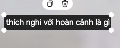 " 
thích nghi với hoàn cảnh là gì