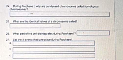 During Prophase I, why are condensed chromosomes called homologous 
chvomosomes? 
25. Whal are the identical halves of a chromosome called? 
26. What part of the cell disintegrales during Prophase I? 
27. List the 3 events that take place during Prophase I 
a 
b. 
C