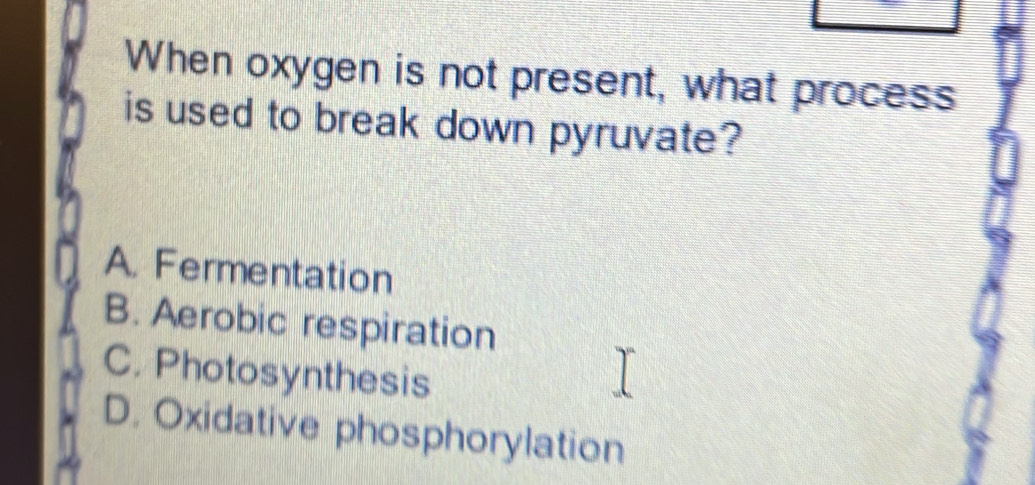 When oxygen is not present, what process
is used to break down pyruvate?
A. Fermentation
B. Aerobic respiration
C. Photosynthesis
D. Oxidative phosphorylation