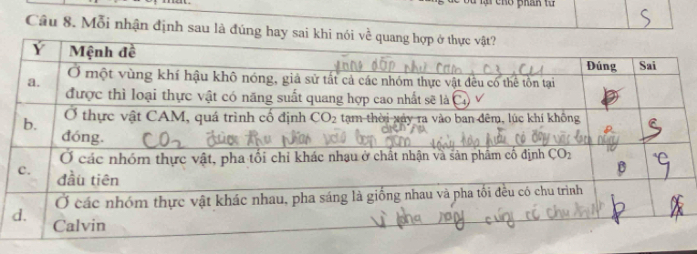 Mỗi nhận định sau là đúng hay