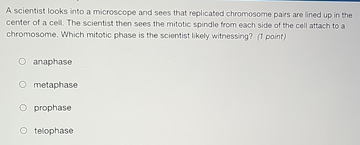 A scientist looks into a microscope and sees that replicated chromosome pairs are lined up in the
center of a cell. The scientist then sees the mitotic spindle from each side of the cell attach to a
chromosome. Which mitotic phase is the scientist likely witnessing? (1 point)
anaphase
metaphase
prophase
telophase