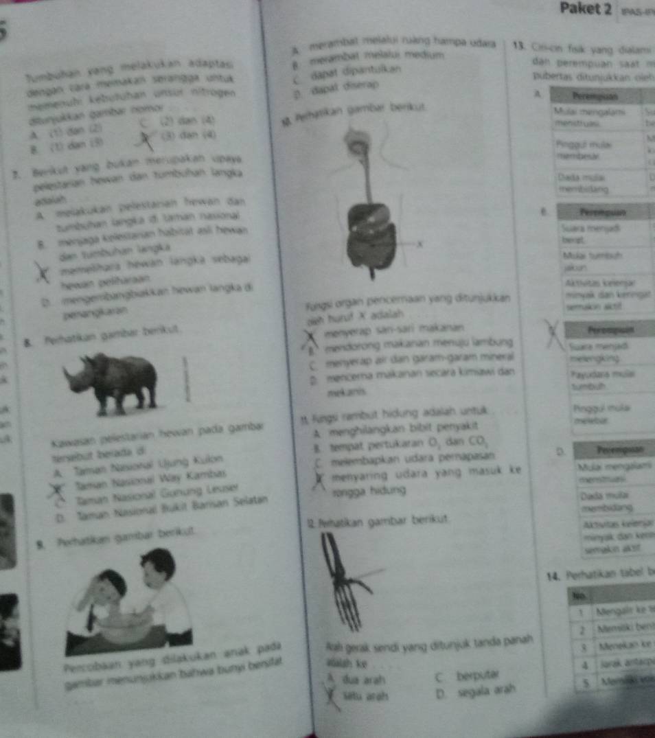 Paket 2 IPAS-IP
A merambat melalui ruàng hampa udara 13. Cir-cin fisik yang dialami
Tumbuhan yang melakukan adaptas B. merambat melaiui medium
dn  perempuan s t   =
dengan cará memakan serangga untuk C dapat dipantulkan
p ubertas ditunjukkan oieh
A . Perempison
memenuhi kebutuhan unsür nitrogen D. dapal diserap
ditunjukkan gambar nomor
B. (1) dan (5) g Perhatikan gambær berikut.
Mulai mangalami S
A. (1) dan (2)
C (2) dan (4) menstivas be
(3) dan (4)
M
Pinggui mulai
3. Benkut yang bukan merupakan upaya
mambesiy (
pelestarian hewan dan tumbühan langka Dada mulai
membidang
adaiah
A mejąkukan pelestärian hewan dan
tumbuhan langka đ taman nasional
e.      Perompusn
B. menjaga kolestanan habität asli hewan
Suera menjad
x
beagt
den tumbühan langka
memešhara hewan langka sebagal
Mulai tumbigh
jaloon
hewan peliharaan.
D. mengembangbiakkan hewan langka di
Aktivitas Kelonjal
penangkaran Fulsgsi organ penceraan yang ditunjukkan minyak dan kerngat
semakon alctit
B. Perhatikan gamber berkut. deh huruf X adalah
menyerap sān-sari makanan
Perompioon
mendorong makanan menuju lambung Suara menjad
C. menyerap air dan garam-garam mineral melengking
D mencerna makanan secara kimiawi dan Payudans mular
mekamis tumbuh
A Pnggui mula
A Kawasan pelestarián hewan pada gambar It Fungs rambut hidung adalah untuk
A menghilangkan bibit penyakit meeour
tersebut berada d B. tempat pertukaran O_1 dan CO_1 D.
A. Taman Nasional Ujung Kulón C. melembapkan udara perapasan
Jaman Nasional Way Kambas  menyaring udara yang masuk ke i
X
Ở Taman Nasional Gönung Lesuser
rongga hidung
D. Taman Nasional Bukit Barisan Selatan
12 Aatikan gambar benikut 
an
8. Perhatikan gambar berikut.
nn
14.Perhatikan tabel b
 
e
Perccibaan yang diląkukan anak pada Ral gerak sendi yang ditunjuk tanda panah nt
A. dua arah C berputar pe
gambar menunjukkan bahwa bunyi benitat Walsh ke
Setu arah D. segala arah i