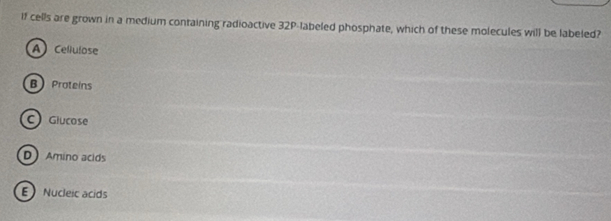 It cells are grown in a medium containing radioactive 32P -labeled phosphate, which of these molecules will be labeled?
A) Cellulose
B Proteins
C) Giucose
D Amino acids
E Nucleic acids