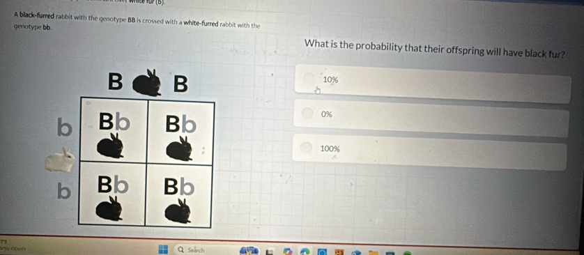Solved: A black-furred rabbit with the genotype BB is crossed with a ...