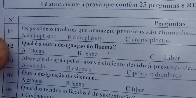 Lê atentamente a prova que contêm 25 perguntas e RI.
..
..
de sustentação'
A Colênquima