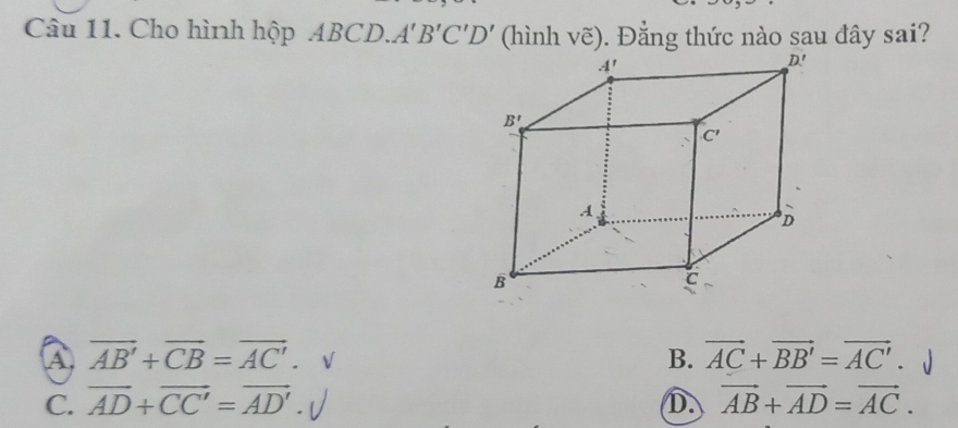 Cho hình hộp ABCD. A'B'C'D' (hình vẽ). Đẳng thức nào sau đây sai?
A overline AB'+overline CB=overline AC'.
B. vector AC+vector BB'=vector AC'.
C. vector AD+vector CC'=vector AD' D. vector AB+vector AD=vector AC.