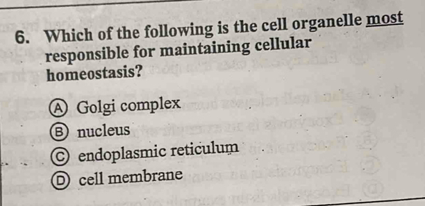 Which of the following is the cell organelle most
responsible for maintaining cellular
homeostasis?
A Golgi complex
Bnucleus
endoplasmic reticulum
D cell membrane