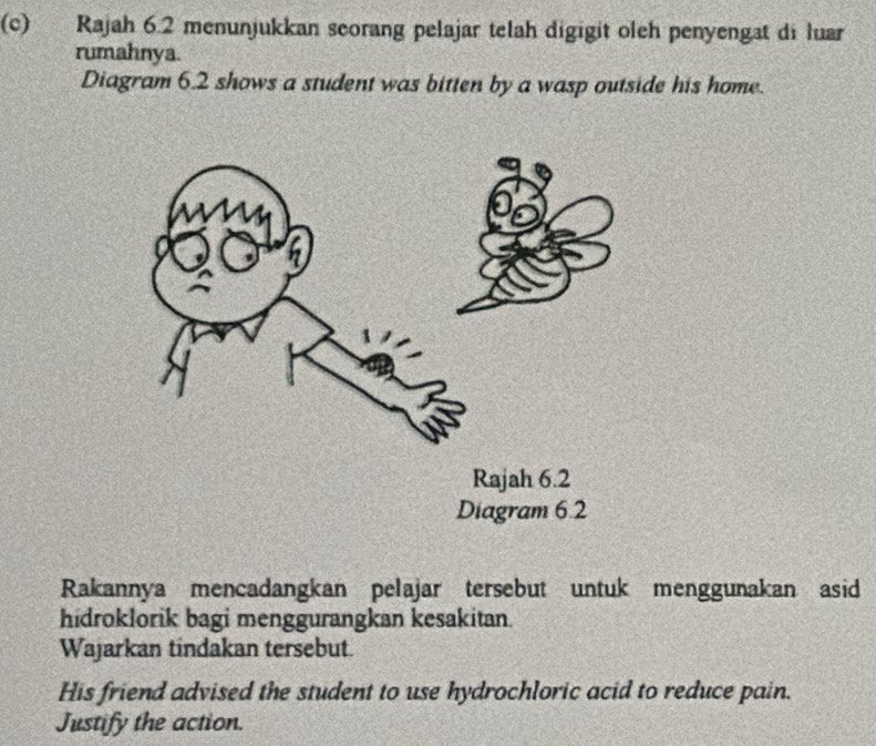 Rajah 6.2 menunjukkan seorang pelajar telah digigit oleh penyengat di luar 
rumahnya. 
Diagram 6.2 shows a student was bitten by a wasp outside his home. 
Rakannya mencadangkan pelajar tersebut untuk menggunakan asid 
hidroklorik bagi menggurangkan kesakitan. 
Wajarkan tindakan tersebut. 
His friend advised the student to use hydrochloric acid to reduce pain. 
Justify the action.