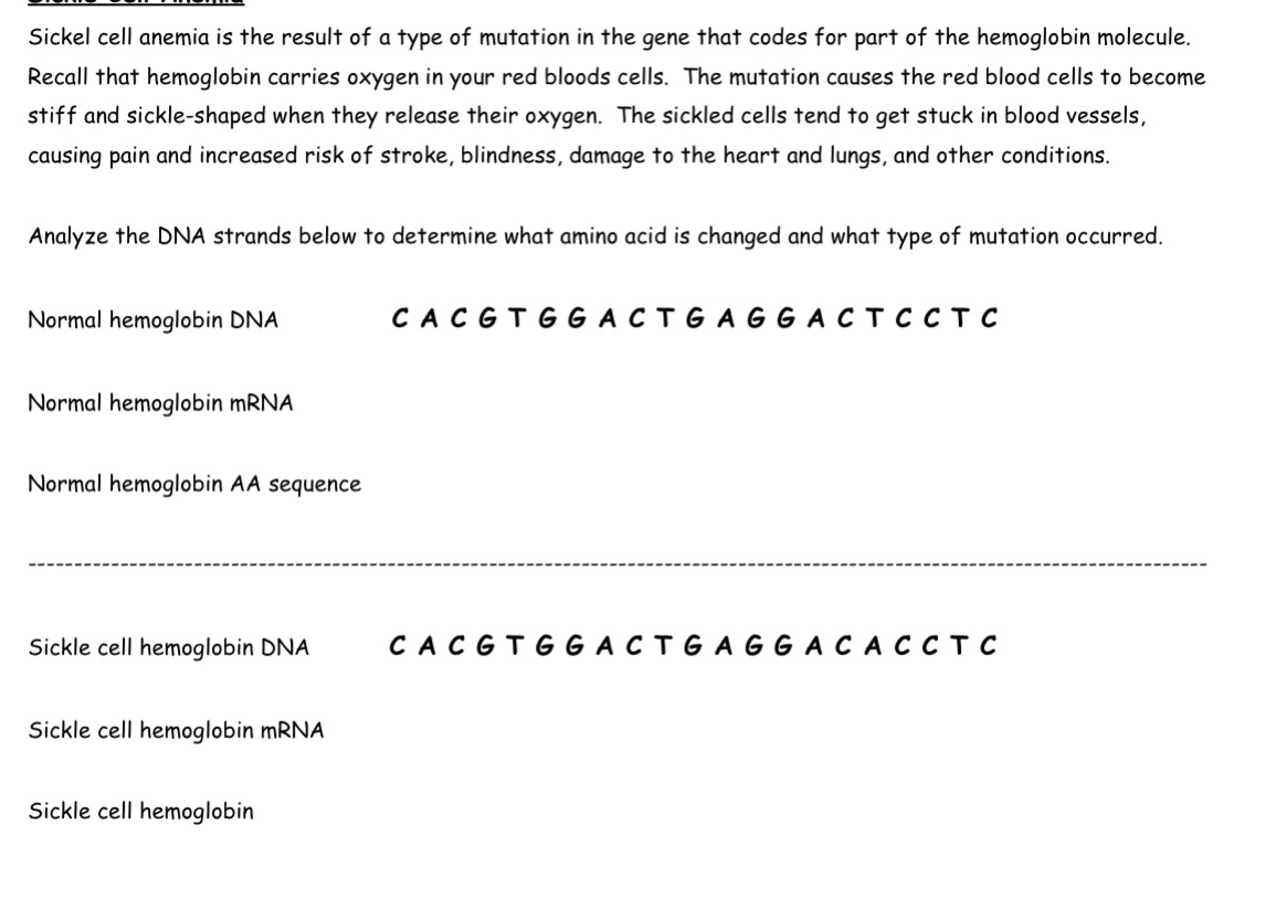 Sickel cell anemia is the result of a type of mutation in the gene that codes for part of the hemoglobin molecule. 
Recall that hemoglobin carries oxygen in your red bloods cells. The mutation causes the red blood cells to become 
stiff and sickle-shaped when they release their oxygen. The sickled cells tend to get stuck in blood vessels, 
causing pain and increased risk of stroke, blindness, damage to the heart and lungs, and other conditions. 
Analyze the DNA strands below to determine what amino acid is changed and what type of mutation occurred. 
Normal hemoglobin DNA C A C G T G G A C T G A G G A C T C C T C 
Normal hemoglobin mRNA 
Normal hemoglobin AA sequence 
Sickle cell hemoglobin DNA C A C G T G G A C T G A G G A C A C C T C 
Sickle cell hemoglobin mRNA 
Sickle cell hemoglobin