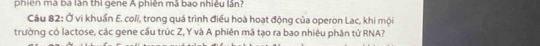 phiên mà ba làn thì gene A phiên mã bao nhiệu lần? 
Câu 82: Ở vi khuẩn E. coli, trong quá trình điều hoà hoạt động của operon Lac, khi mội 
trường có lactose, các gene cấu trúc Z, Y và A phiên mã tạo ra bao nhiêu phân tử RNA?