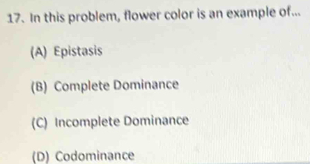 In this problem, flower color is an example of...
(A) Epistasis
(B) Complete Dominance
(C) Incomplete Dominance
(D) Codominance