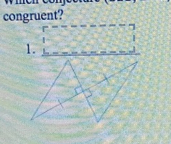 congruent? 
1.