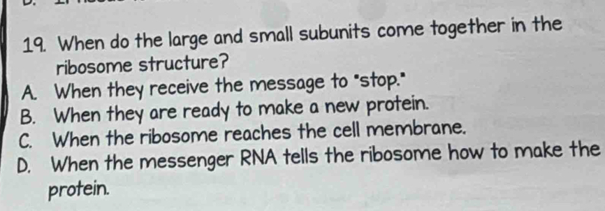 When do the large and small subunits come together in the
ribosome structure?
A. When they receive the message to "stop."
B. When they are ready to make a new protein.
C. When the ribosome reaches the cell membrane.
D. When the messenger RNA tells the ribosome how to make the
protein.