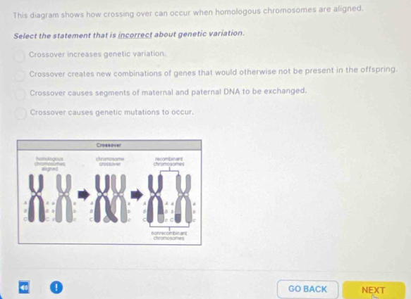 Solved: This diagram shows how crossing over can occur when homologous ...