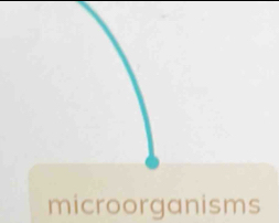 microorganisms