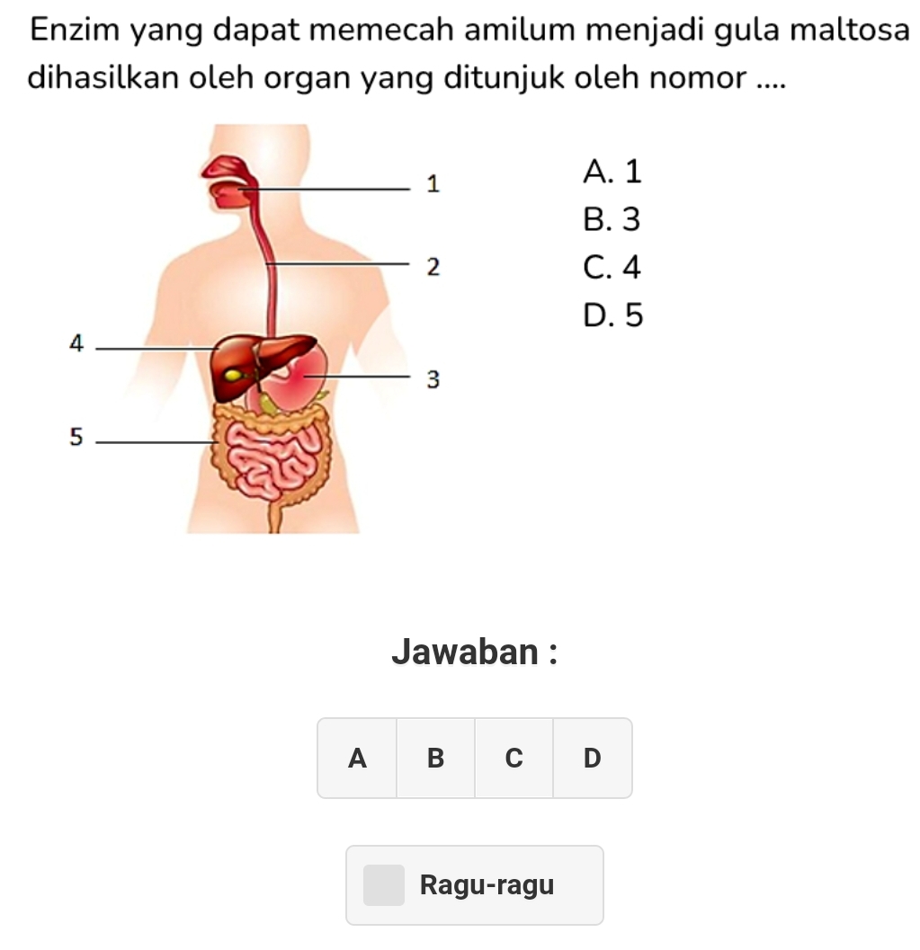 Enzim yang dapat memecah amilum menjadi gula maltosa
dihasilkan oleh organ yang ditunjuk oleh nomor ....
A. 1
B. 3
C. 4
D. 5
Jawaban :
A B C D
Ragu-ragu