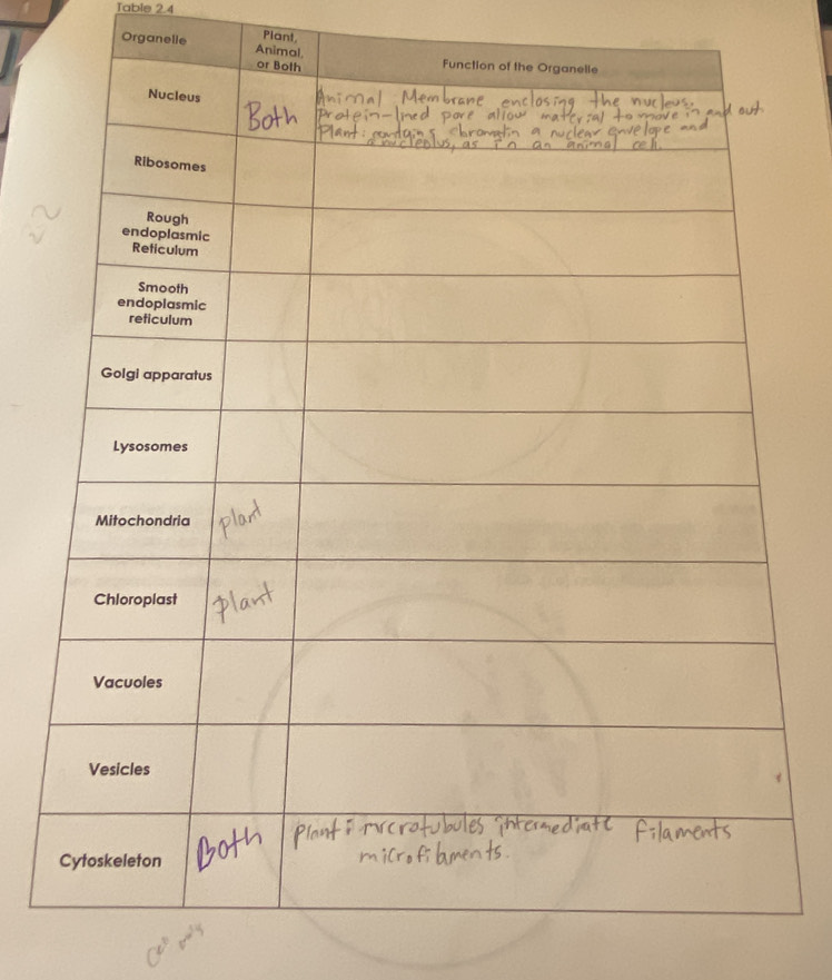 Table 2.4 
Plant, 
Organelie An