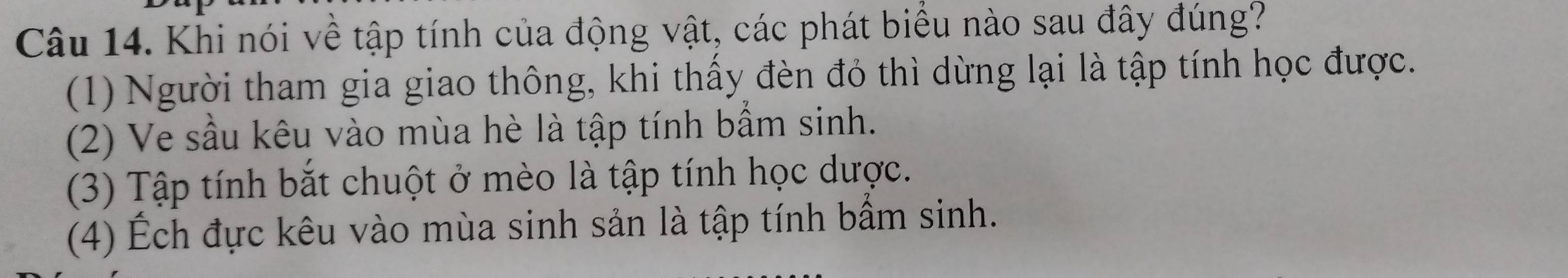 Khi nói về tập tính của động vật, các phát biểu nào sau đây đúng?
(1) Người tham gia giao thông, khi thấy đèn đó thì dừng lại là tập tính học được.
(2) Ve sầu kêu vào mùa hè là tập tính bầm sinh.
(3) Tập tính bắt chuột ở mèo là tập tính học dược.
(4) Ếch đực kêu vào mùa sinh sản là tập tính bầm sinh.