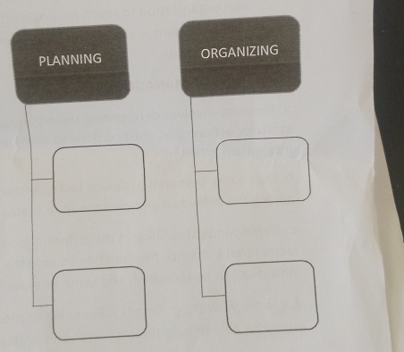 PLANNING ORGANIZING