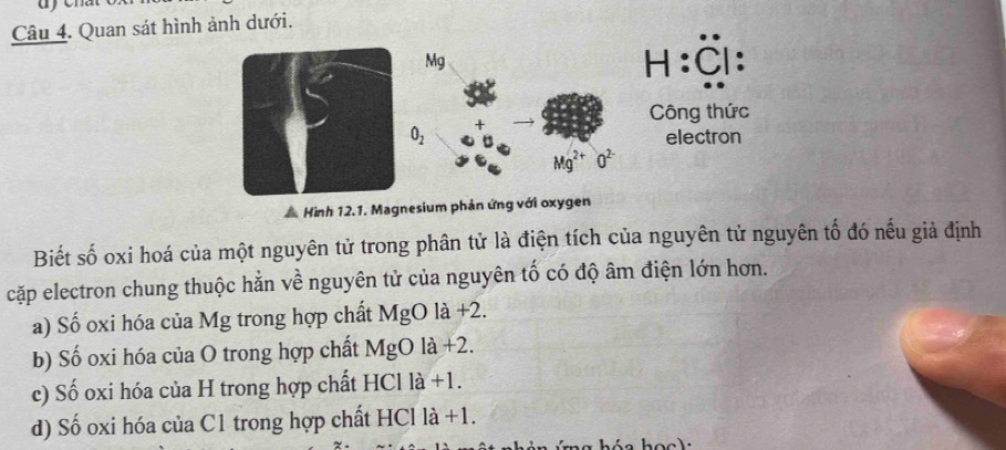 Quan sát hình ảnh dưới.
Mg
H: Ö :
Công thức
0_2
electron
Mg^(2+)O^(2-)
Hình 12.1. Magnesium phản ứng với oxygen
Biết số oxi hoá của một nguyên tử trong phân tử là điện tích của nguyên tử nguyên tố đó nếu giả định
cặp electron chung thuộc hằn về nguyên tử của nguyên tố có độ âm điện lớn hơn.
a) Số oxi hóa của Mg trong hợp chất MgO là +2.
b) Số oxi hóa của O trong hợp chất MgO là +2.
c) Số oxi hóa của H trong hợp chất HCl là +1.
d) Số oxi hóa của C1 trong hợp chất HCl là +1.