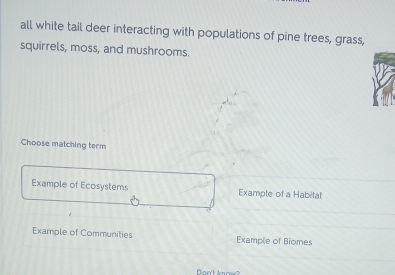 all white tail deer interacting with populations of pine trees, grass, 
squirrels, moss, and mushrooms. 
Choose matching term 
Example of Ecosystems Example of a Habitat 
Example of Communities Example of Biomes 
Don't know?