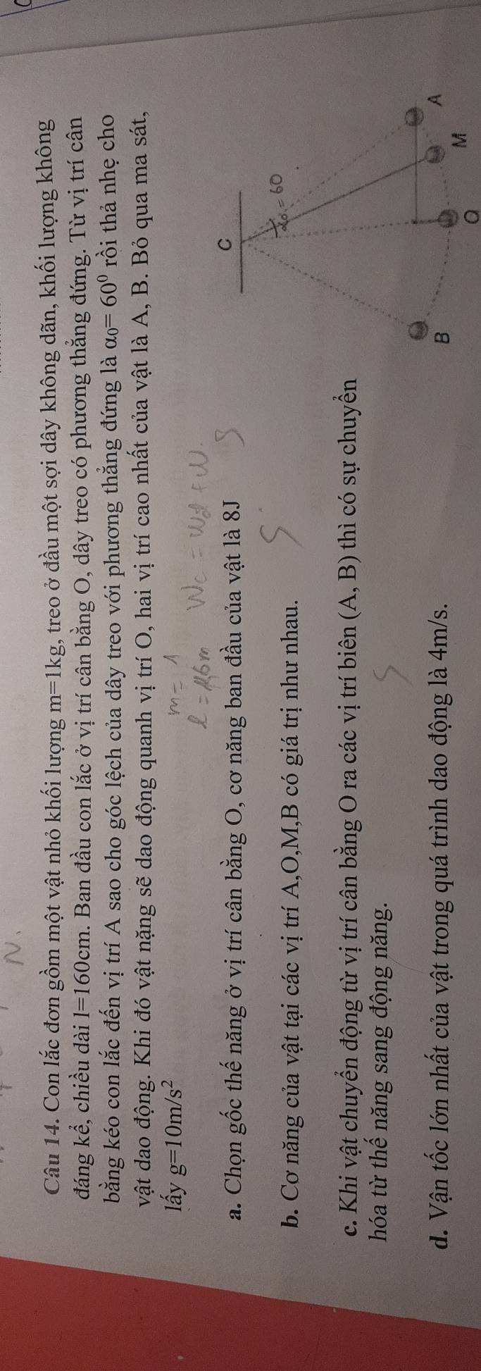Con lắc đơn gồm một vật nhỏ khối lượng m=1kg , treo ở đầu một sợi dây không dãn, khối lượng không
đáng kể, chiều dài l=160cm h. Ban đầu con lắc ở vị trí cân bằng O, dây treo có phương thẳng đứng. Từ vị trí cân
bằng kéo con lắc đến vị trí A sao cho góc lệch của dây treo với phương thẳng đứng là alpha _0=60° rồi thả nhẹ cho
vật dao động. Khi đó vật nặng sẽ dao động quanh vị trí O, hai vị trí cao nhất của vật là A, B. Bỏ qua ma sát,
lấy g=10m/s^2
a. Chọn gốc thế năng ở vị trí cân bằng O, cơ năng ban đầu của vật là 8J
b. Cơ năng của vật tại các vị trí A,O,M,B có giá trị như nhau.
c. Khi vật chuyển động từ vị trí cân bằng O ra các vị trí biên (A,B) thì có sự chuyển
hóa từ thế năng sang động năng.
d. Vận tốc lớn nhất của vật trong quá trình dao động là 4m/s. 
Q